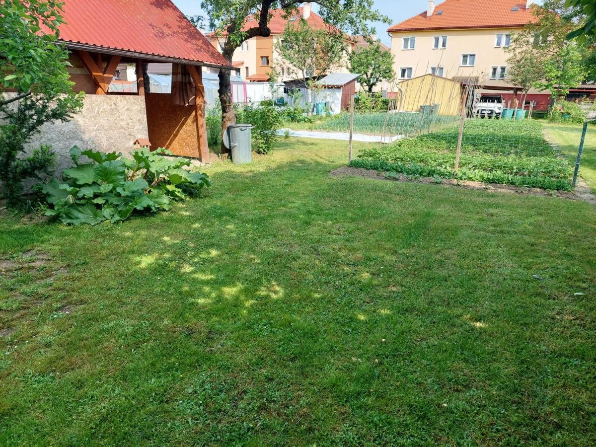 Vaclavskeho Apartment Medzilaborce Exterior photo